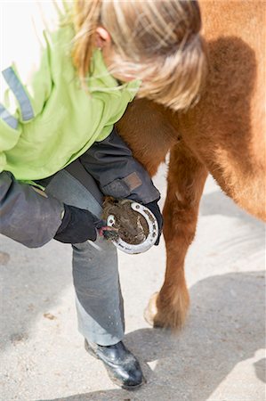 Sweden, Skane, Woman cleaning horseshoe Stock Photo - Premium Royalty-Free, Code: 6126-08658915