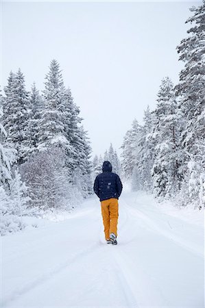 simsearch:6126-09104272,k - Sweden, Narke, Man walking along road in forest in winter Stock Photo - Premium Royalty-Free, Code: 6126-08659258