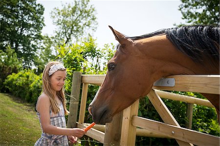 suédois - Sweden, Skane, Girl (8-9) feeding horse with carrot Photographie de stock - Premium Libres de Droits, Code: 6126-08659378