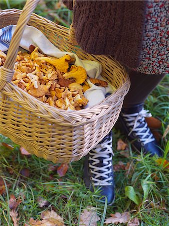 simsearch:6102-08001024,k - Sweden, Skane, Close-up of woman with basket of chanterelle mushrooms Photographie de stock - Premium Libres de Droits, Code: 6126-08659395