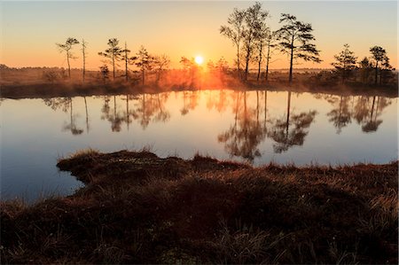 simsearch:6126-08635626,k - Sweden, Narke, Skagershultmossen, View of lake at dawn Foto de stock - Royalty Free Premium, Número: 6126-08659447