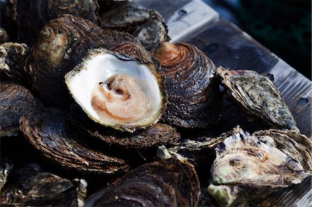 shellfish sweden - Sweden, Bohuslan, Fresh shellfish Stock Photo - Premium Royalty-Free, Code: 6126-08635172