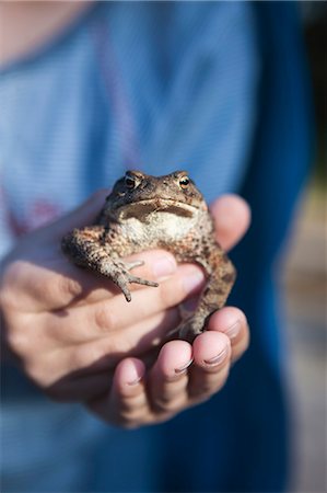 Sweden, Smaland, Hasselo, Girl (4-5) holding frog in hands Stock Photo - Premium Royalty-Free, Code: 6126-08635367