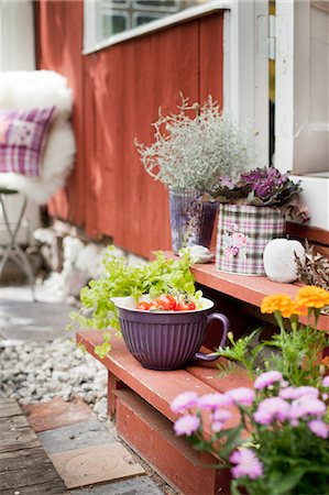 Sweden, Sodermanland, Potted plants and dish with fresh tomatoes on front stoop Stock Photo - Premium Royalty-Free, Code: 6126-08635326