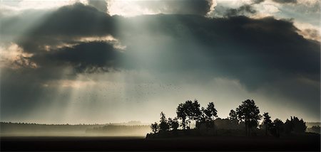 Sweden, Sodermanland, Stigtomta, Storm clouds Foto de stock - Sin royalties Premium, Código: 6126-08635600