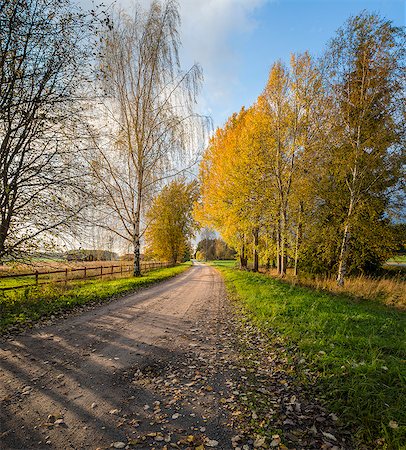 Sweden, Sodermanland, Stigtomta, View of country road in autumn Foto de stock - Sin royalties Premium, Código: 6126-08635614