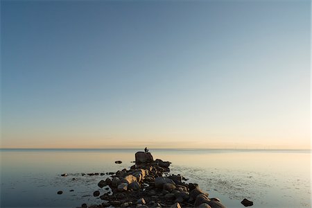 simsearch:6126-08636438,k - Sweden, Oland, Man standing on kalmarsund looking at view Fotografie stock - Premium Royalty-Free, Codice: 6126-08635620