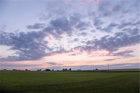 simsearch:6126-08635778,k - Sweden, Skane, Osterlen, Skillinge, Ostangard, Scenic view of green field and purple sky at dusk Fotografie stock - Premium Royalty-Free, Codice: 6126-08636076