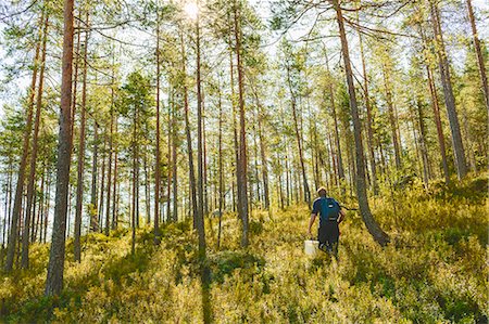 simsearch:6126-08659254,k - Finland, Keski-Suomi, Jyvaskyla, Man walking in pine forest Fotografie stock - Premium Royalty-Free, Codice: 6126-08636708