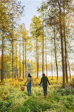 simsearch:6126-08636707,k - Finland, Etela-Savo, Huttula, Two women picking mushrooms in forest Foto de stock - Royalty Free Premium, Número: 6126-08636718