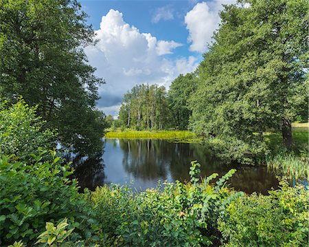 simsearch:6126-08635626,k - Sweden, Narke, Scenic view of landscape with lake Foto de stock - Royalty Free Premium, Número: 6126-08781467