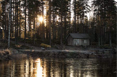 Finland, Pirkanmaa, Ruovesi, Wooden cottage in forest by pond Foto de stock - Sin royalties Premium, Código: 6126-08781551