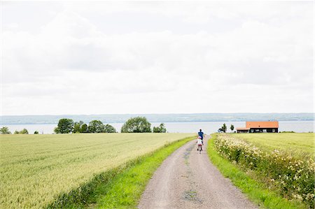 simsearch:6126-09102821,k - Family cycling along rural road in Smaland, Sweden Foto de stock - Sin royalties Premium, Código: 6126-09102362