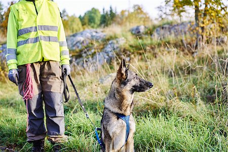 simsearch:6126-08659254,k - Volunteer with dog helping emergency services find missing people Fotografie stock - Premium Royalty-Free, Codice: 6126-09102420