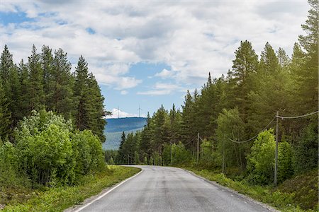 simsearch:6126-09102561,k - Empty country road surrounded by trees Photographie de stock - Premium Libres de Droits, Code: 6126-09102670
