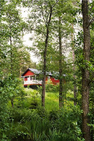 simsearch:6126-09102821,k - A rural house surrounded with trees in Sweden Foto de stock - Sin royalties Premium, Código: 6126-09102611