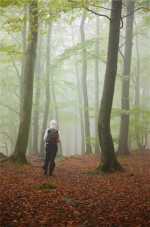 simsearch:6126-08659160,k - Rear view of woman in foggy forest Foto de stock - Sin royalties Premium, Código: 6126-09102798