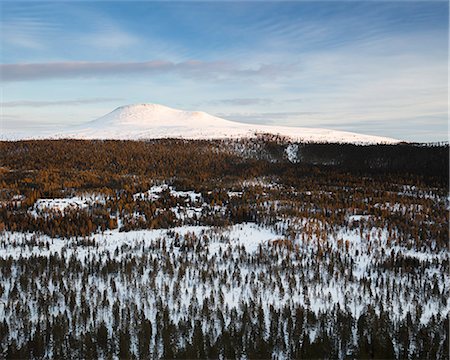 simsearch:6126-09103787,k - Forest and mountain during winter in Dalarna, Sweden Foto de stock - Sin royalties Premium, Código: 6126-09102829