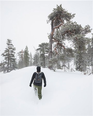 simsearch:6126-09103814,k - Man walking in snow in Fulufjallet National Park, Sweden Photographie de stock - Premium Libres de Droits, Code: 6126-09102830