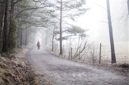 simsearch:6126-09103815,k - A dirt road in Sweden Photographie de stock - Premium Libres de Droits, Code: 6126-09103814