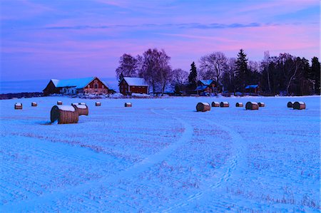 simsearch:862-08273835,k - Farm buildings at dusk Photographie de stock - Premium Libres de Droits, Code: 6126-09104067