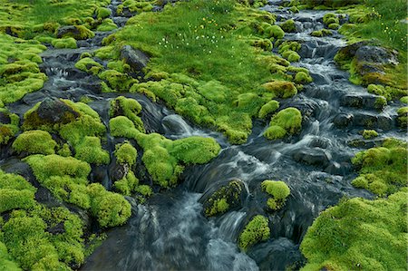 Stream and rocks in Lapland covered in moss Stock Photo - Premium Royalty-Free, Code: 6126-09104116