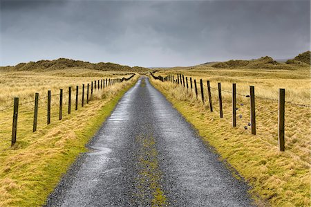 simsearch:6126-09103783,k - Rural road in Shetland, Scotland Foto de stock - Sin royalties Premium, Código: 6126-09104133