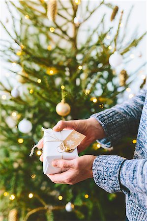 simsearch:6126-08636707,k - Man holding christmas gift against christmas tree Stock Photo - Premium Royalty-Free, Code: 6126-09104208
