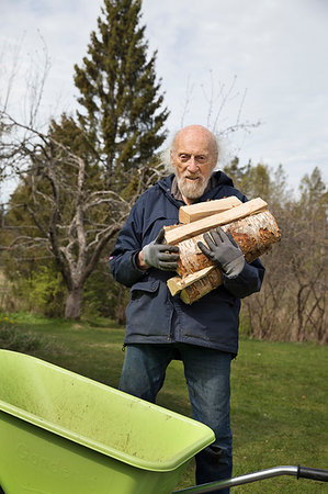 Senior man collecting firewood Stock Photo - Premium Royalty-Free, Code: 6126-09266118