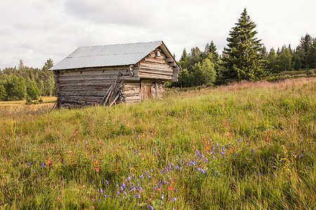 simsearch:6126-09266628,k - Wooden barn in field Stock Photo - Premium Royalty-Free, Code: 6126-09266352