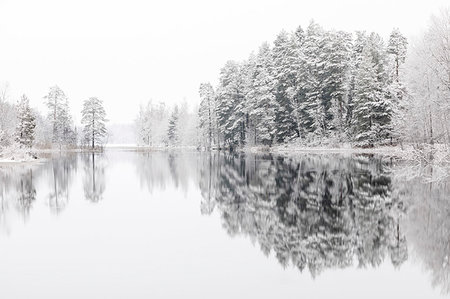 simsearch:6126-09266676,k - Lake reflecting winter forest in Lotorp, Sweden Stockbilder - Premium RF Lizenzfrei, Bildnummer: 6126-09266593