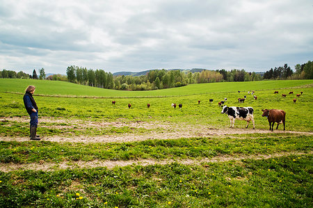 simsearch:700-03621431,k - Farmer with cows in field Foto de stock - Sin royalties Premium, Código: 6126-09266518