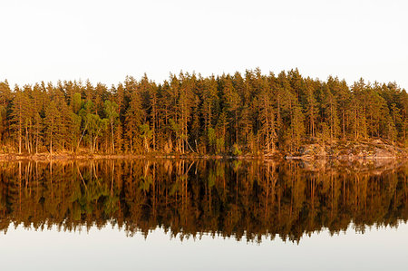 simsearch:6126-09266676,k - Forest reflected in Skiren Lake, Sweden Stockbilder - Premium RF Lizenzfrei, Bildnummer: 6126-09266645