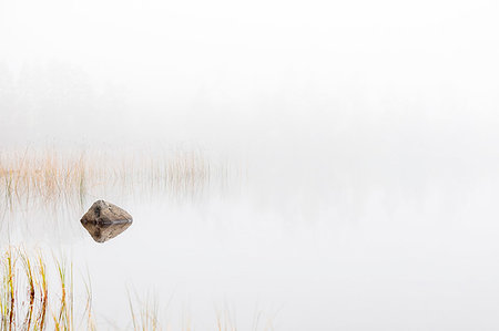 simsearch:6126-09266702,k - Rock and reeds in lake under fog Fotografie stock - Premium Royalty-Free, Codice: 6126-09266673