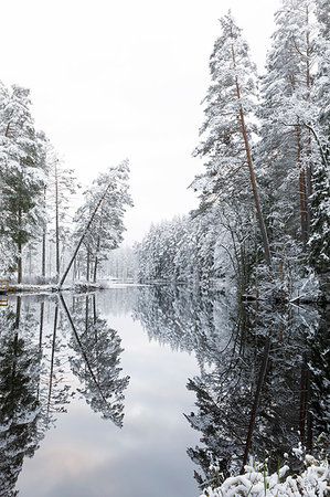 simsearch:6126-09266612,k - Forest lake with trees covered by snow in Lotorp, Sweden Photographie de stock - Premium Libres de Droits, Code: 6126-09266696