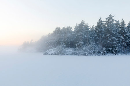 simsearch:6126-09266676,k - Trees next to the frozen Lake Skiren in Sweden Stockbilder - Premium RF Lizenzfrei, Bildnummer: 6126-09266600