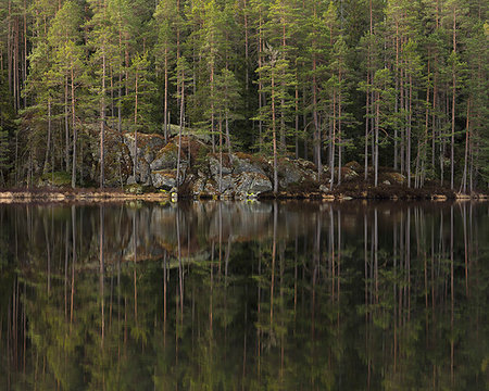 Forest by lake Stockbilder - Premium RF Lizenzfrei, Bildnummer: 6126-09266782