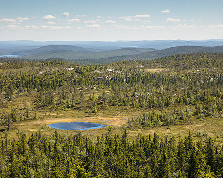 simsearch:6126-09266795,k - Tandovala Nature Reserve in Sweden Foto de stock - Sin royalties Premium, Código: 6126-09266791