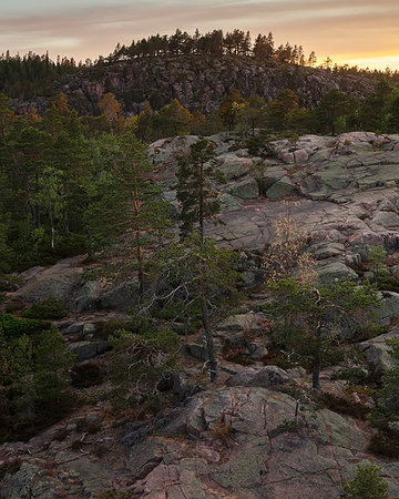 simsearch:6126-09266702,k - Trees on rocks at sunset in Skuleskogen National Park, Sweden Fotografie stock - Premium Royalty-Free, Codice: 6126-09267042
