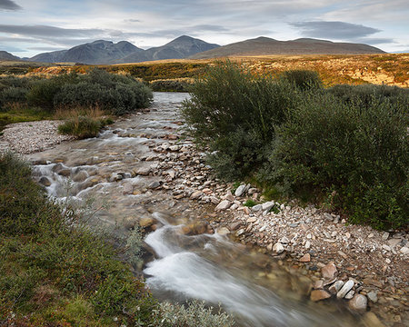 rondane national park - River through Rondane National Park, Norway Photographie de stock - Premium Libres de Droits, Code: 6126-09267101