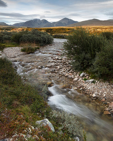 rondane national park - River through Rondane National Park, Norway Photographie de stock - Premium Libres de Droits, Code: 6126-09267102