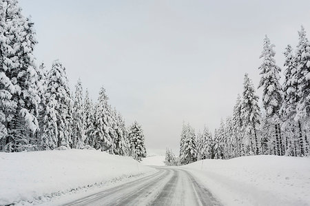 simsearch:6126-09266996,k - Snow covered road between trees Foto de stock - Sin royalties Premium, Código: 6126-09267899