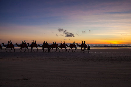 Group of people riding camels at sunset in Broome, Australia Photographie de stock - Premium Libres de Droits, Code: 6126-09204633