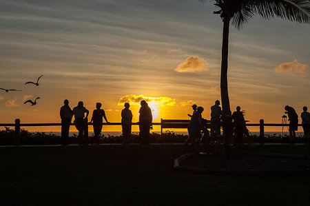 Silhouette of people standing in a park at sunset in Broome, Australia Stock Photo - Premium Royalty-Free, Code: 6126-09204632