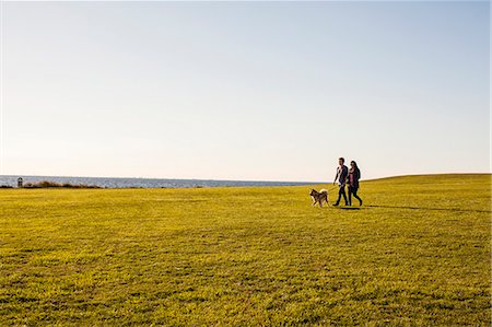 Couple with dog walking on grassy landscape against clear sky Stock Photo - Premium Royalty-Free, Code: 6127-08688931