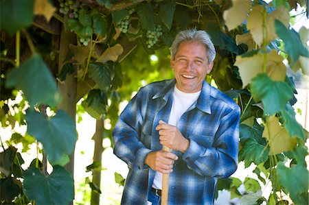 simsearch:6102-03905363,k - Portrait of a smiling mature man leaning on a handle while standing under a grapevine. Stock Photo - Premium Royalty-Free, Code: 6128-08747547