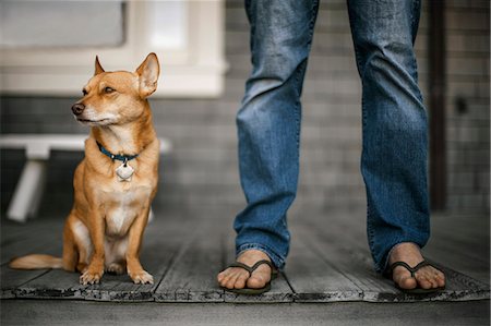 simsearch:6128-08747680,k - Man standing on his deck with his dog by his side. Stockbilder - Premium RF Lizenzfrei, Bildnummer: 6128-08747743