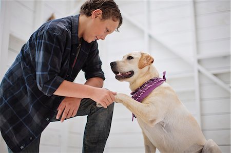 dog shake hand - Boy shaking hands with his dog. Stock Photo - Premium Royalty-Free, Code: 6128-08747712