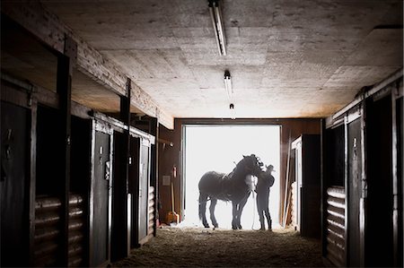 stabil - Man saddling up his horse Photographie de stock - Premium Libres de Droits, Code: 6128-08747717