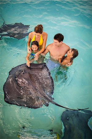 Smiling family having fun together as they swim with stingrays. Photographie de stock - Premium Libres de Droits, Code: 6128-08748027